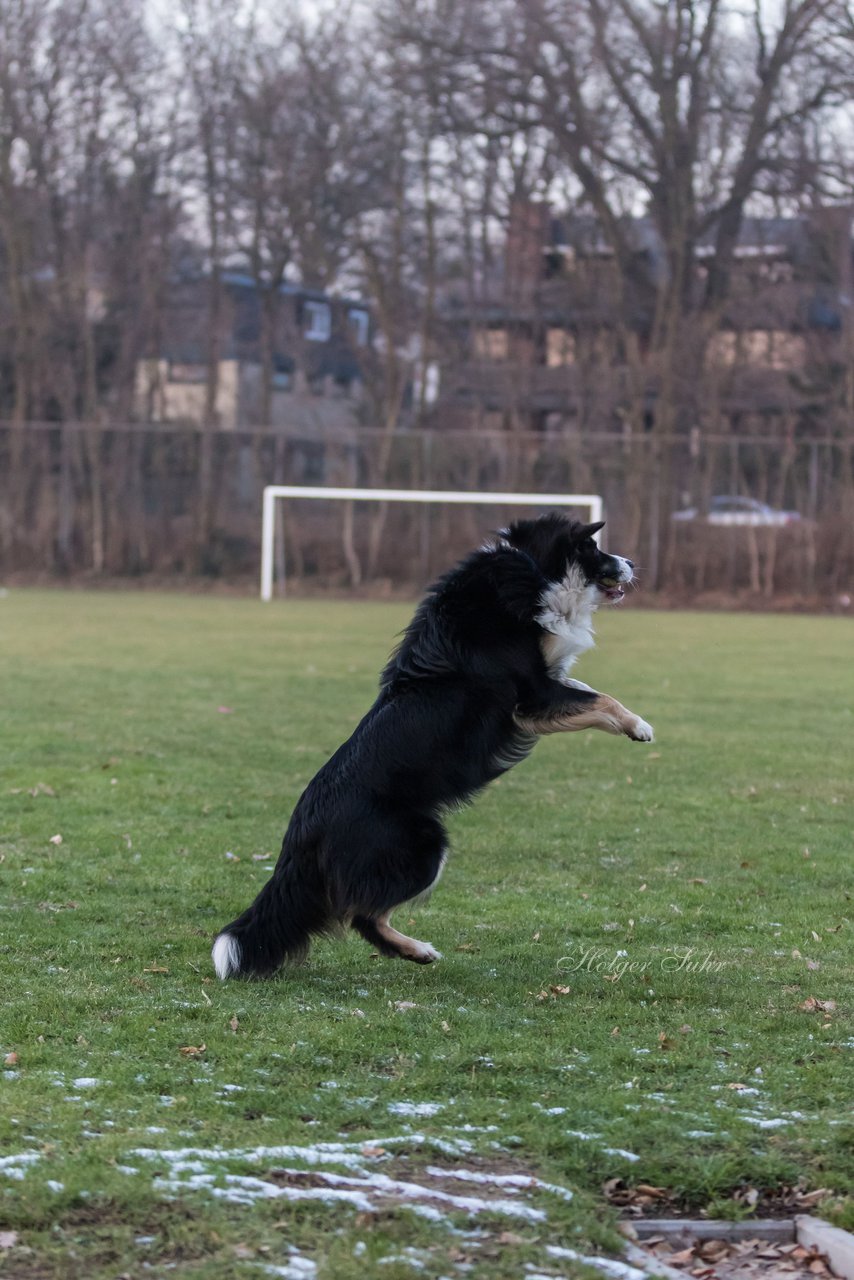 Bild 97 - Hundeshooting